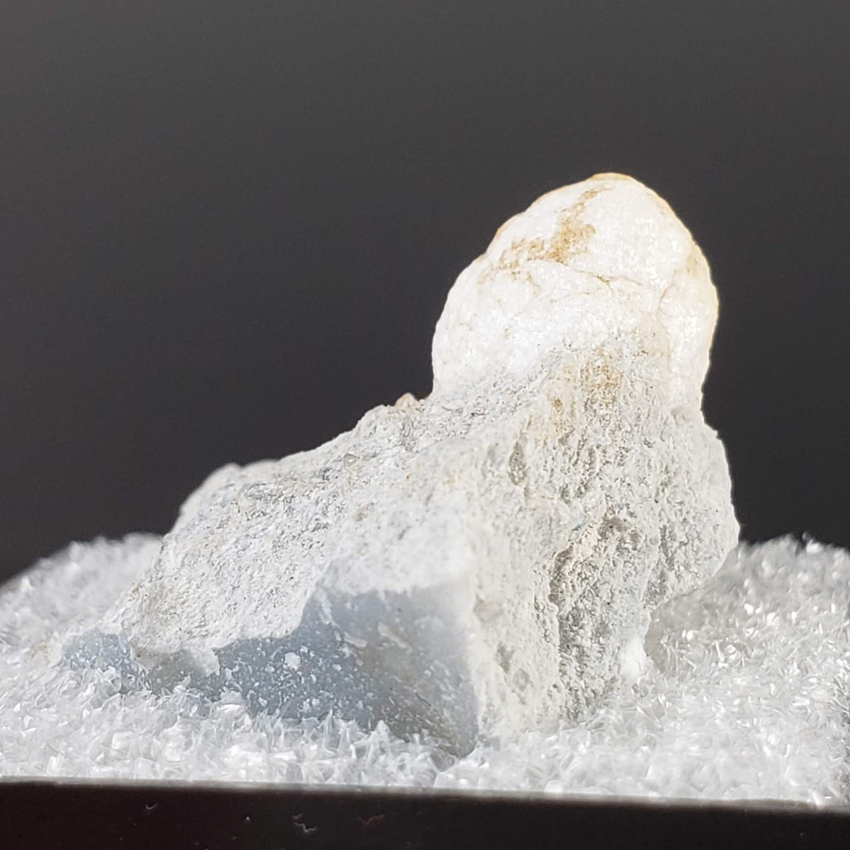  Howlite on Matrix | Perky Box Thumbnail Specimen | Fishells Brook, NL, Canada 3