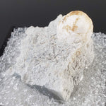  Howlite on Matrix | Perky Box Thumbnail Specimen | Fishells Brook, NL, Canada 4