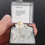  Howlite on Matrix | Perky Box Thumbnail Specimen | Fishells Brook, NL, Canada 6