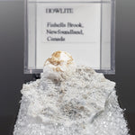  Howlite on Matrix | Perky Box Thumbnail Specimen | Fishells Brook, NL, Canada 1