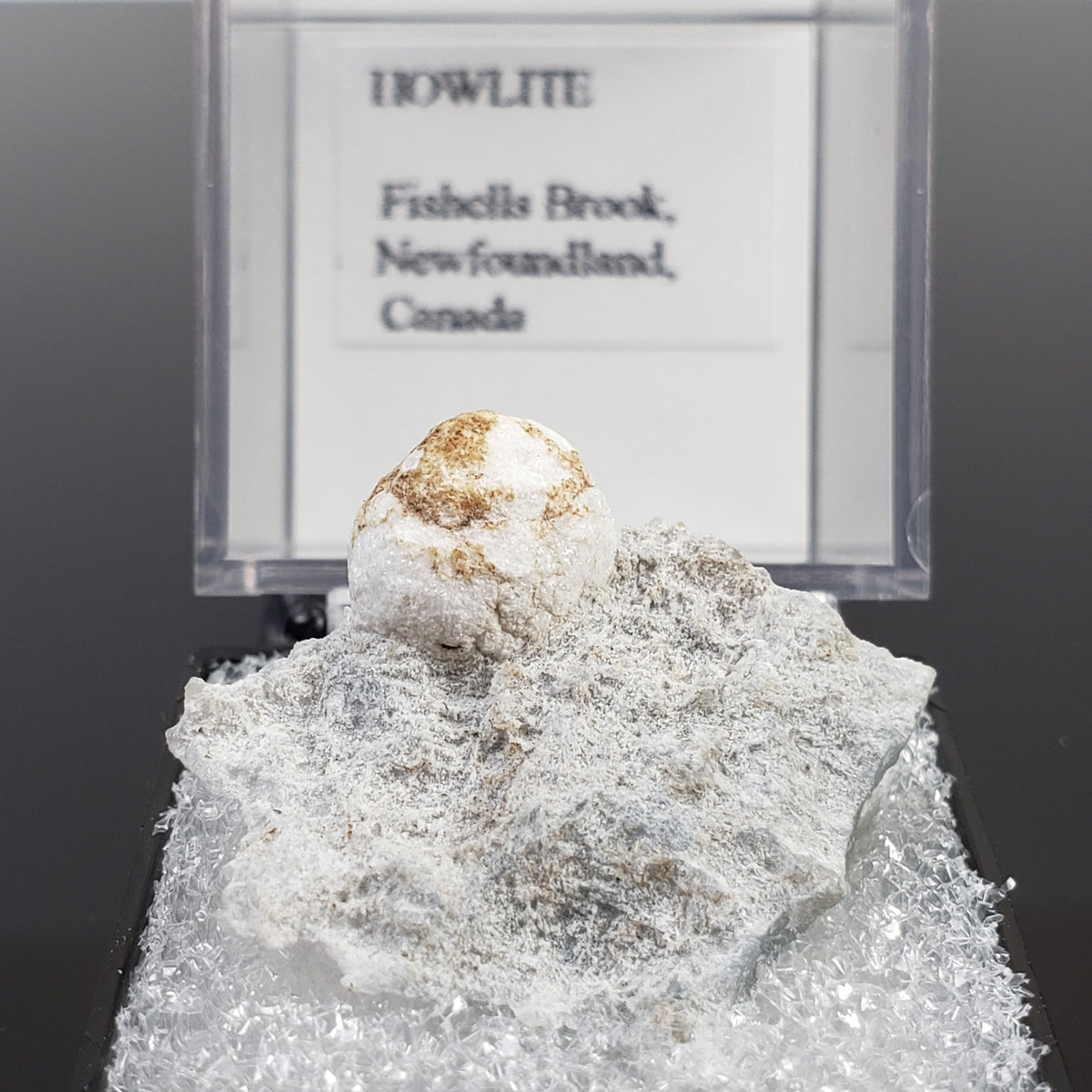  Howlite on Matrix | Perky Box Thumbnail Specimen | Fishells Brook, NL, Canada 1