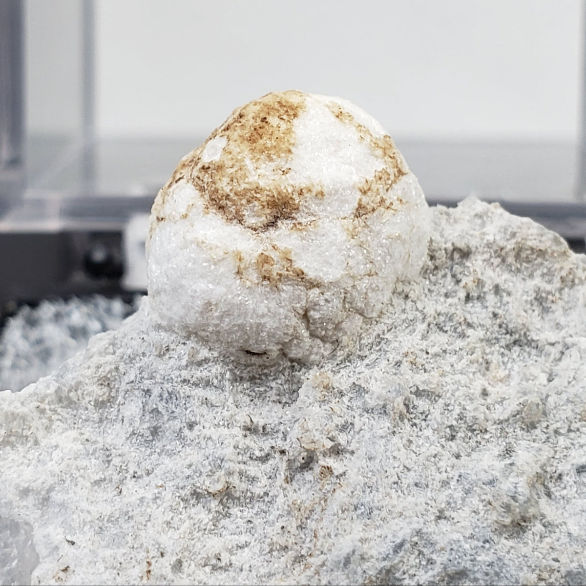  Howlite on Matrix | Perky Box Thumbnail Specimen | Fishells Brook, NL, Canada 