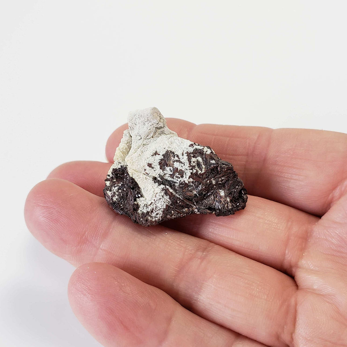  Hubnerite on Matrix | 18.2 grams | Ruby Mine, San Juan Co., Colorado 4