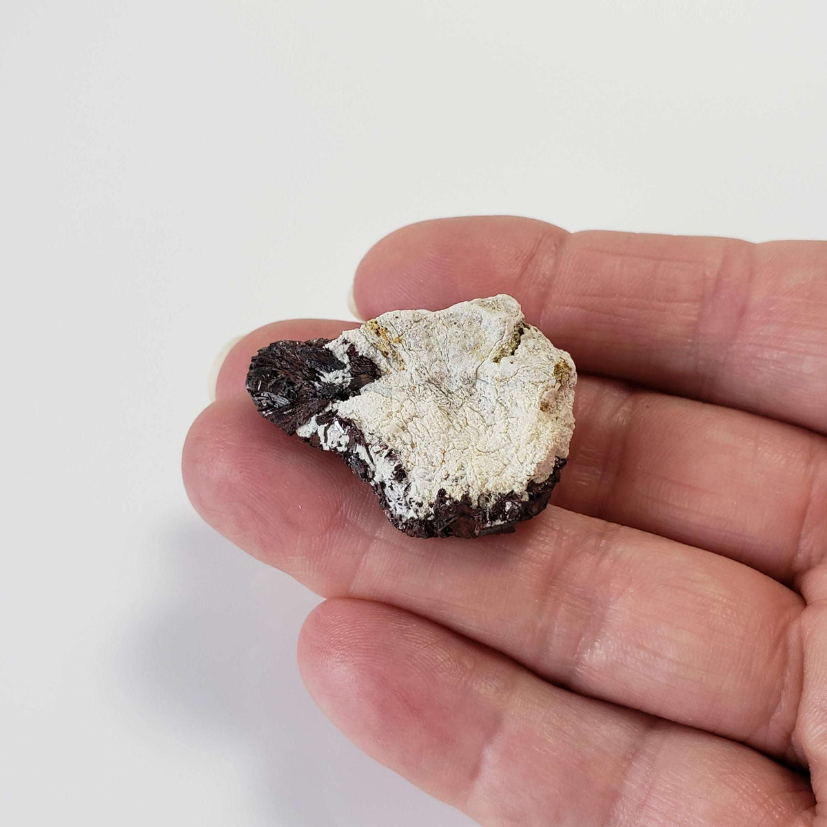  Hubnerite on Matrix | 18.2 grams | Ruby Mine, San Juan Co., Colorado 5
