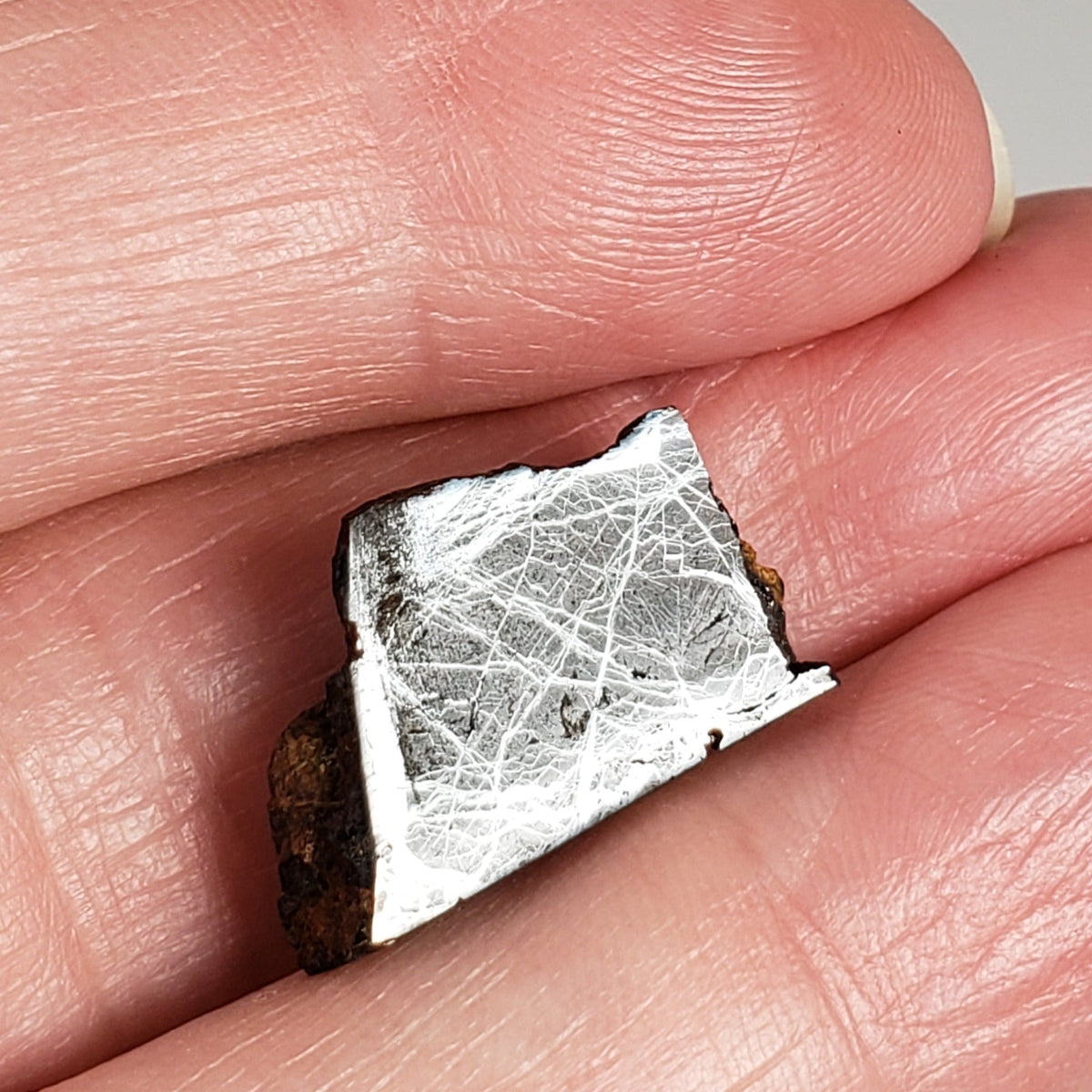  Huckitta Meteorite | 2.84 Grams | Part End Cut | Pallasite Stony Iron | Rare | Australia | SO24 1