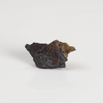  Huckitta Meteorite | 200 milligrams | Fragment | Pallasite Stony Iron | Rare | Australia | SO24 1