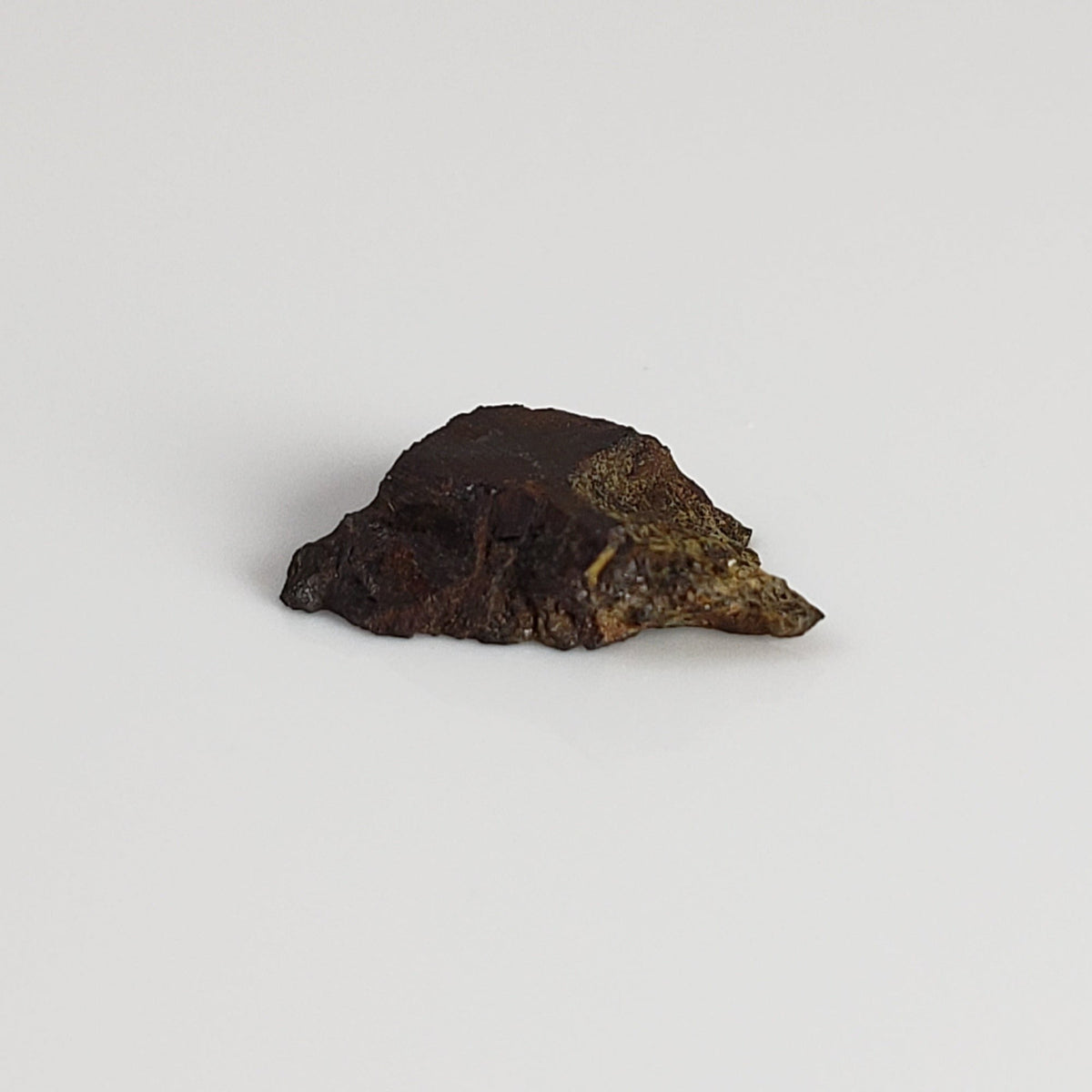  Huckitta Meteorite | 200 milligrams | Fragment | Pallasite Stony Iron | Rare | Australia | SO24 5