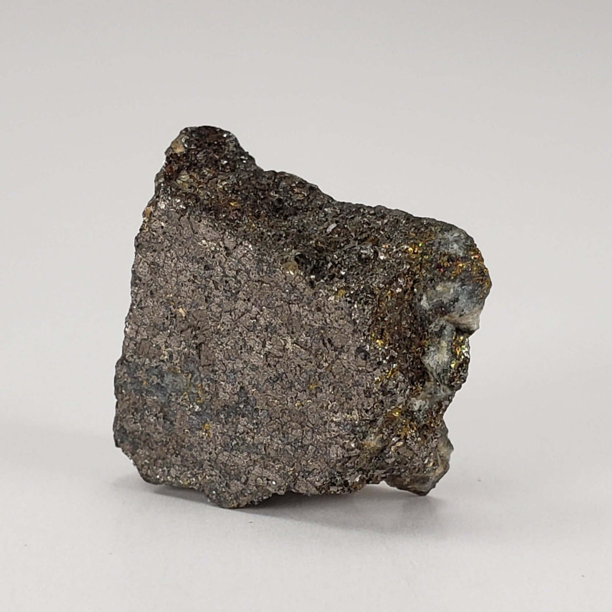  Impact Breccia Slice | 6.12 Grams | Golden Metal Veining Impactite | Sudbury Structure, Canada | SO24 1