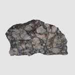 Impact Melt Breccia | 14.6 Grams | Gardnos Crater, Norway 2