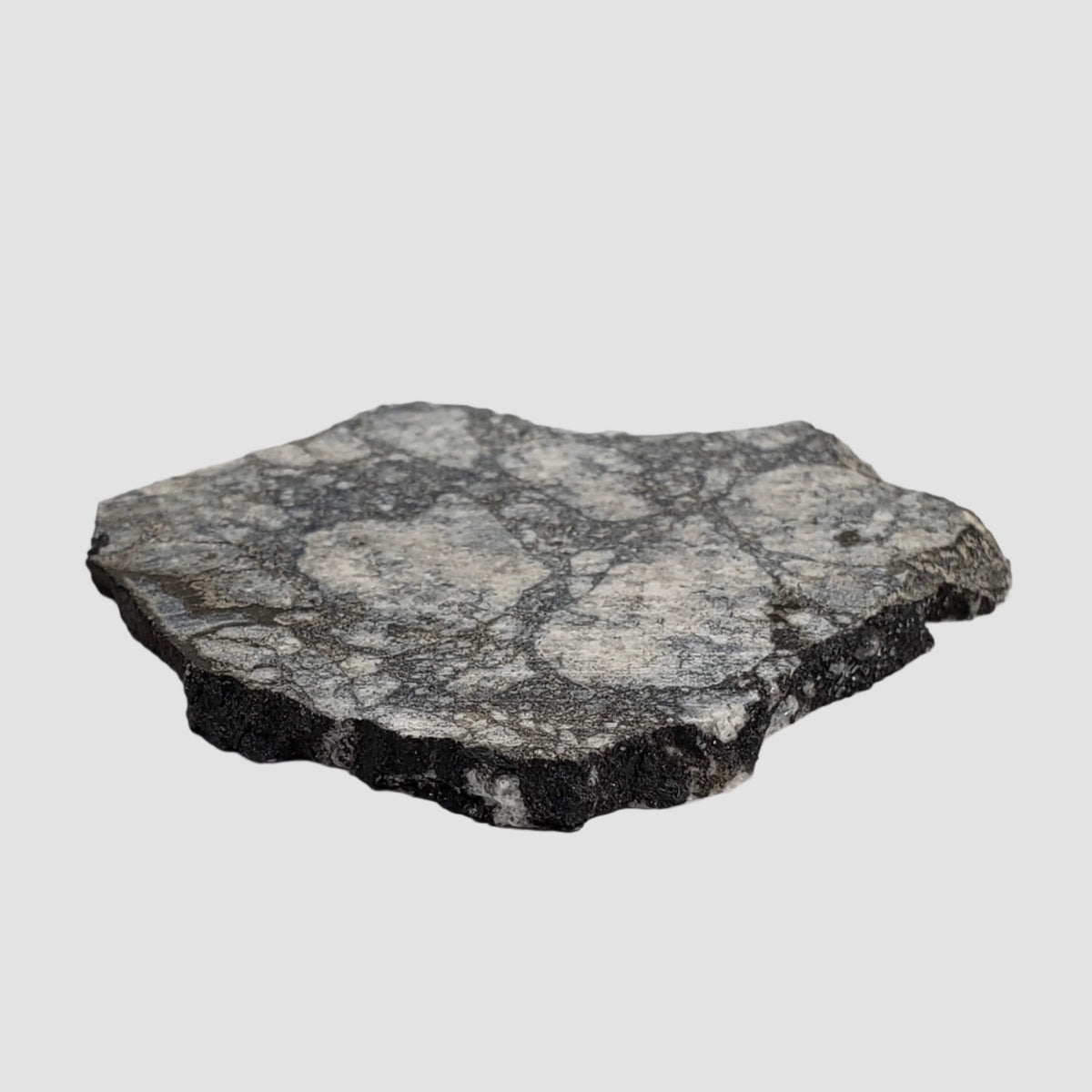  Impact Melt Breccia | 19.5 Grams | Gardnos Crater, Norway 3