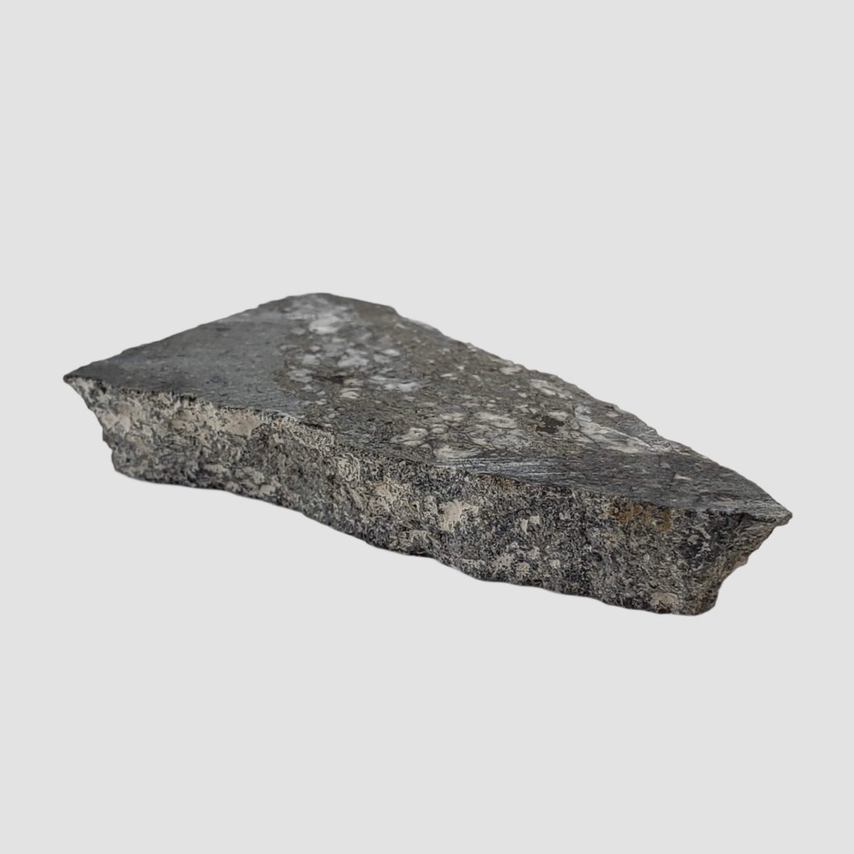  Impact Melt Breccia | 22 Grams | Gardnos Crater, Norway 7