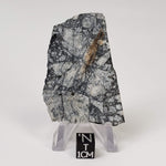  Impact Melt Breccia | 24.3 Grams | Gardnos Crater, Norway 