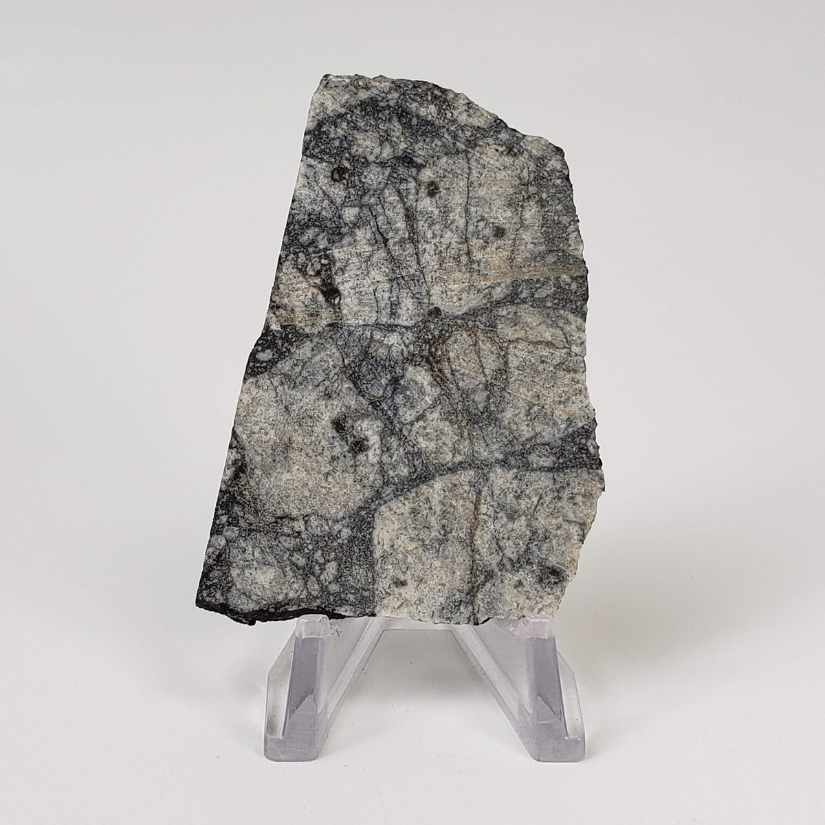  Impact Melt Breccia | 24.3 Grams | Gardnos Crater, Norway 1