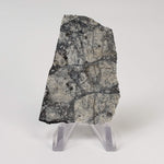  Impact Melt Breccia | 24.3 Grams | Gardnos Crater, Norway 1
