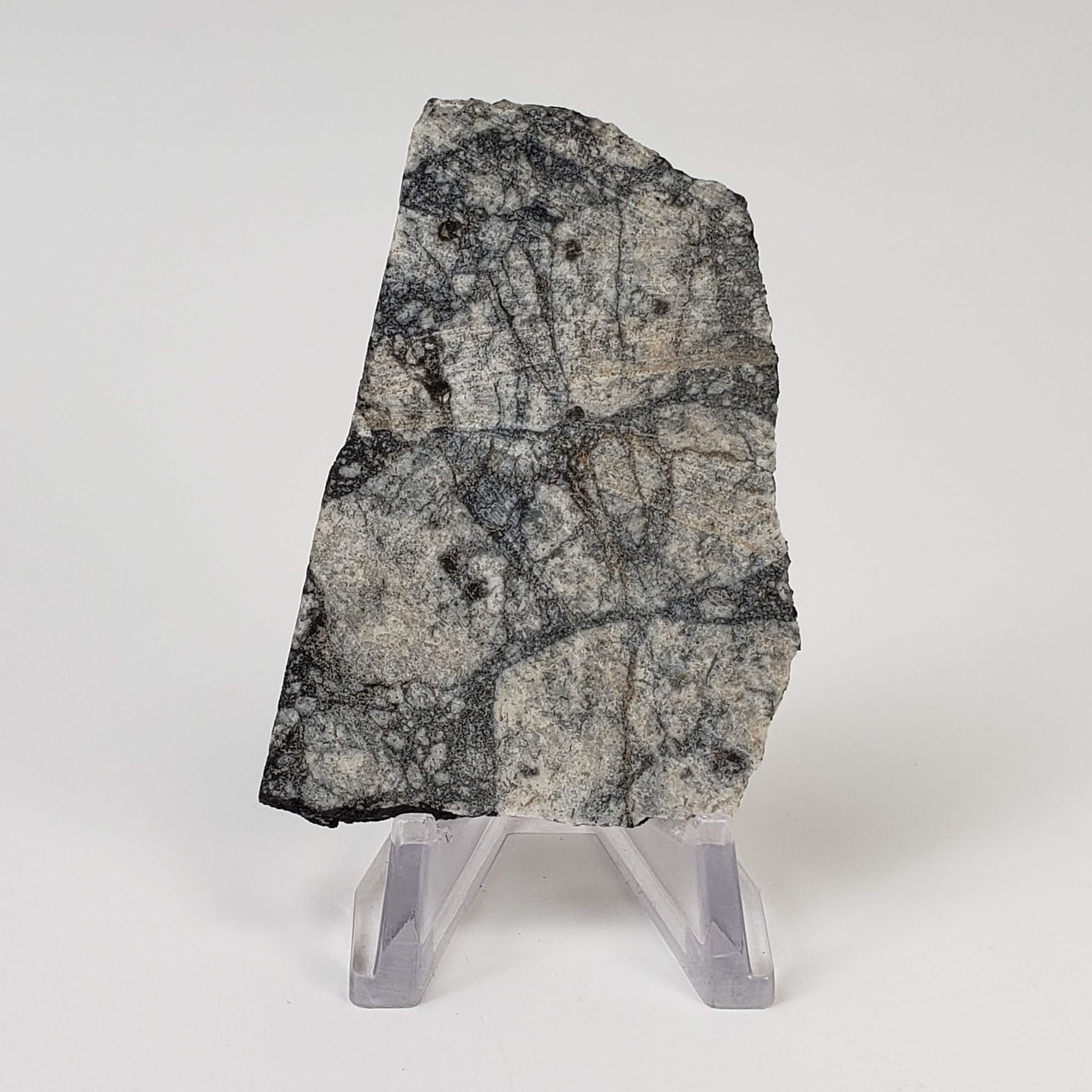  Impact Melt Breccia | 24.3 Grams | Gardnos Crater, Norway 1