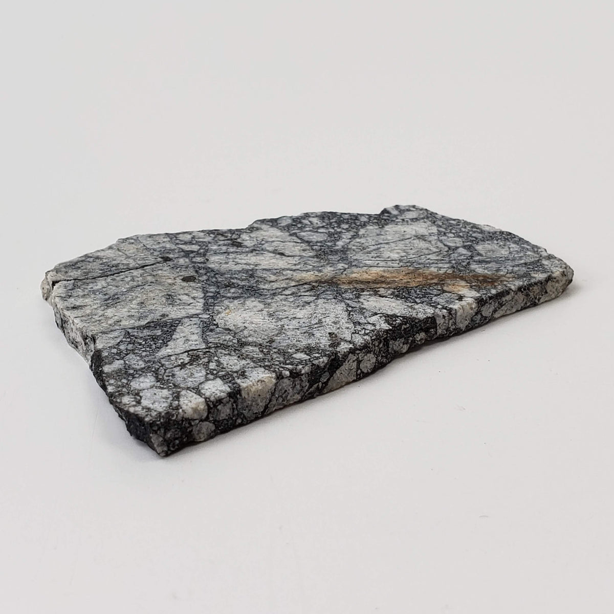  Impact Melt Breccia | 24.3 Grams | Gardnos Crater, Norway 3