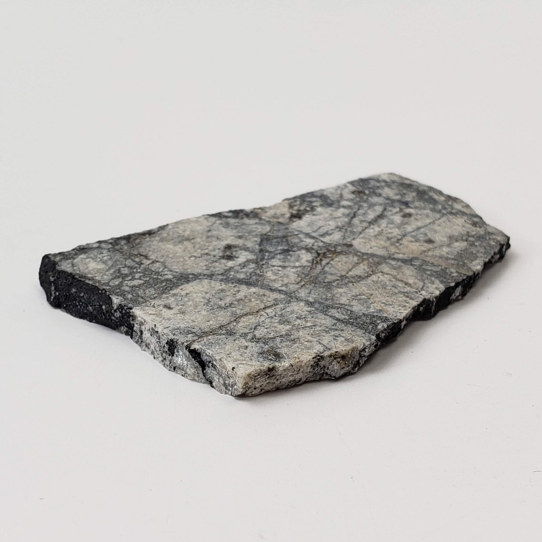 Impact Melt Breccia | 24.3 Grams | Gardnos Crater, Norway 4
