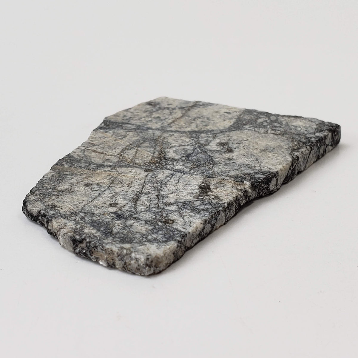 Impact Melt Breccia | 24.3 Grams | Gardnos Crater, Norway 5