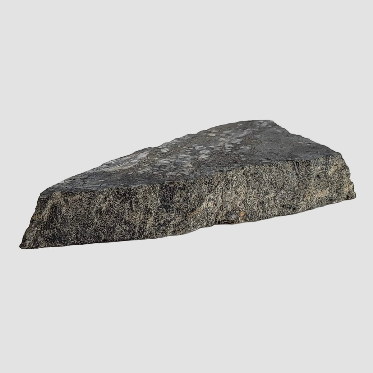 Impact Melt Breccia | 29.8 Grams | Gardnos Crater, Norway 2