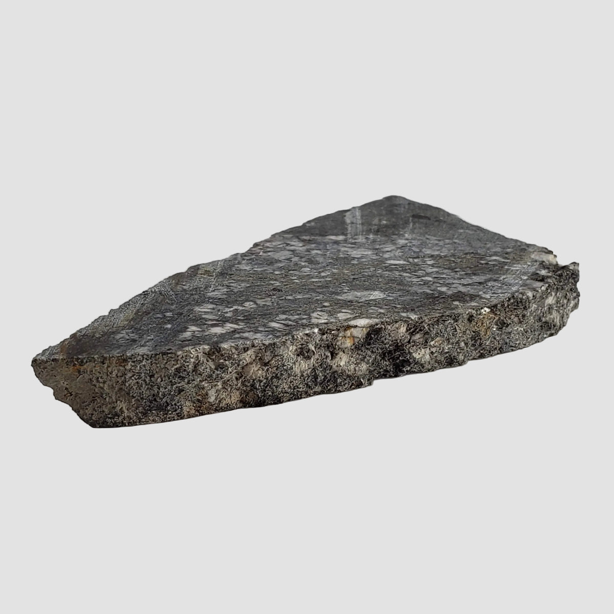 Impact Melt Breccia | 29.8 Grams | Gardnos Crater, Norway 3