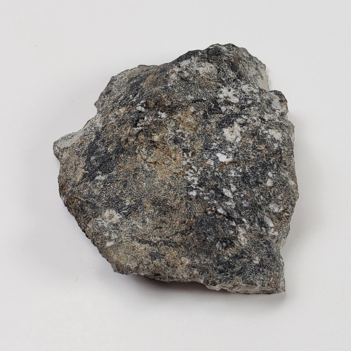  Impact Melt Breccia | 30.2 Grams | Gardnos Crater, Norway | SO24 1
