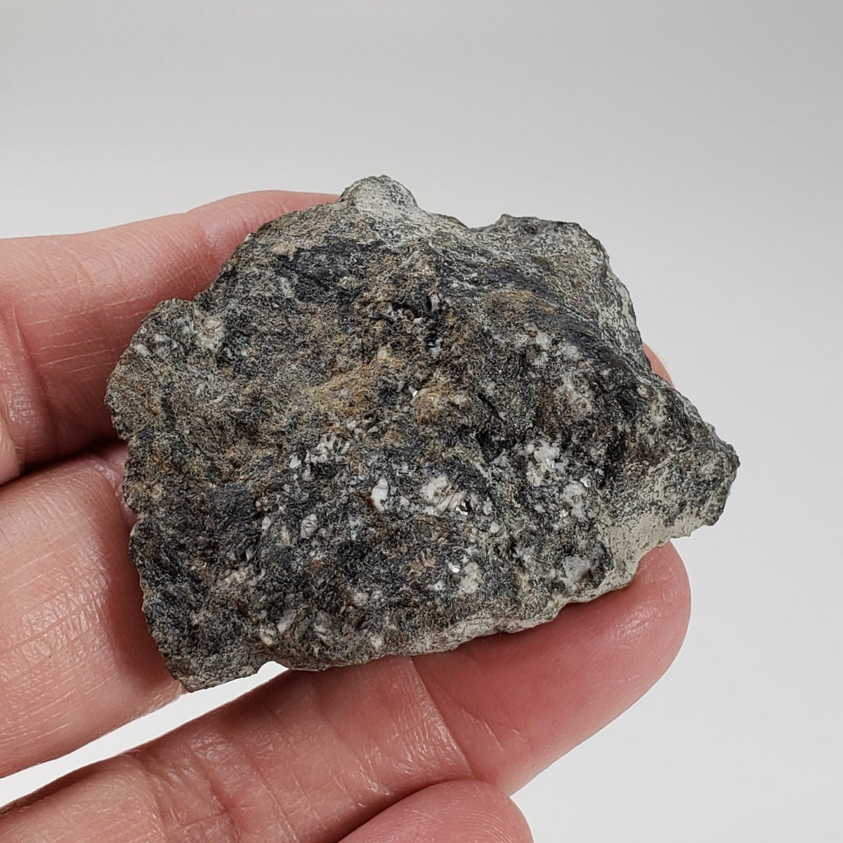  Impact Melt Breccia | 30.2 Grams | Gardnos Crater, Norway | SO24 4