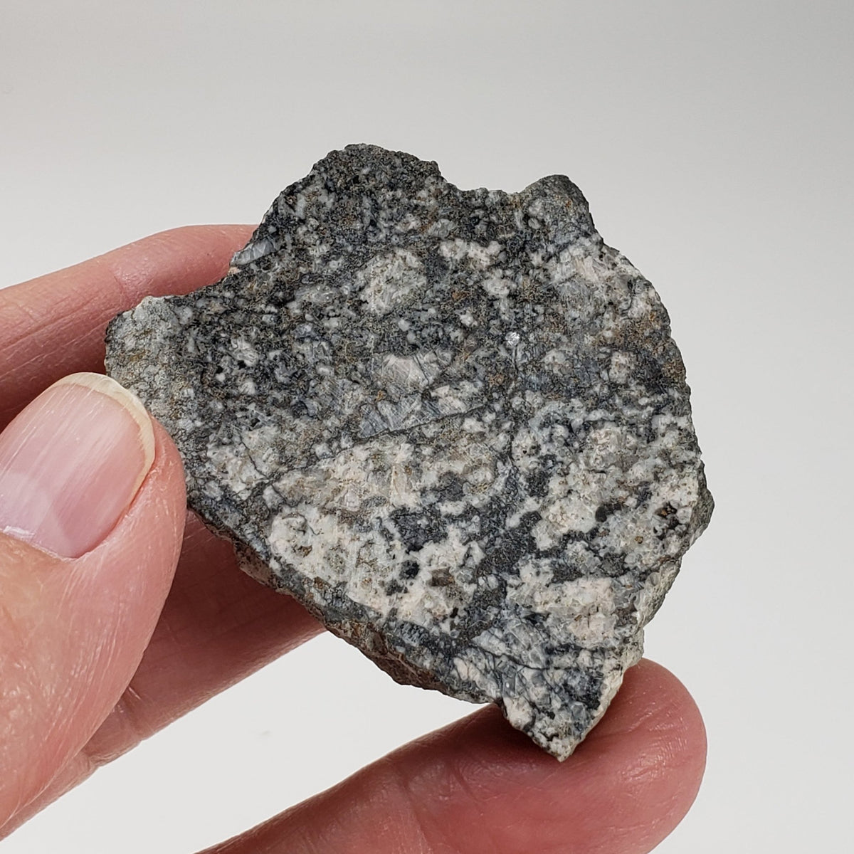  Impact Melt Breccia | 30.2 Grams | Gardnos Crater, Norway | SO24 5