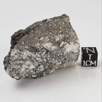  Impact Melt Breccia | 36.2 Grams | Gardnos Crater, Norway 