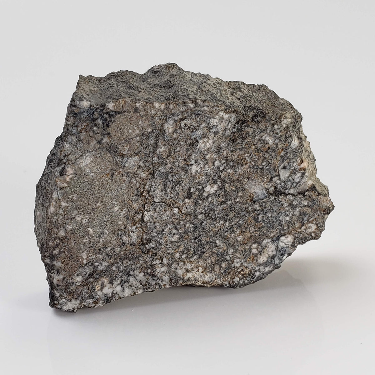  Impact Melt Breccia | 36.2 Grams | Gardnos Crater, Norway 1