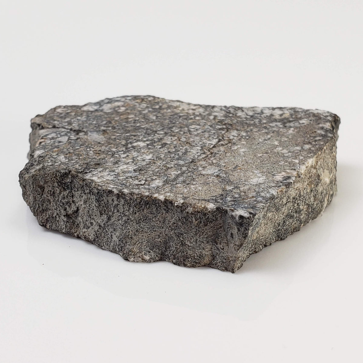  Impact Melt Breccia | 36.2 Grams | Gardnos Crater, Norway 2