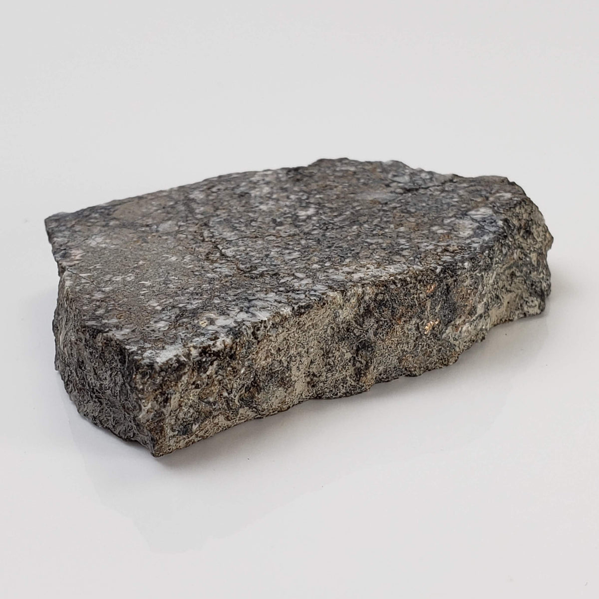  Impact Melt Breccia | 36.2 Grams | Gardnos Crater, Norway 3
