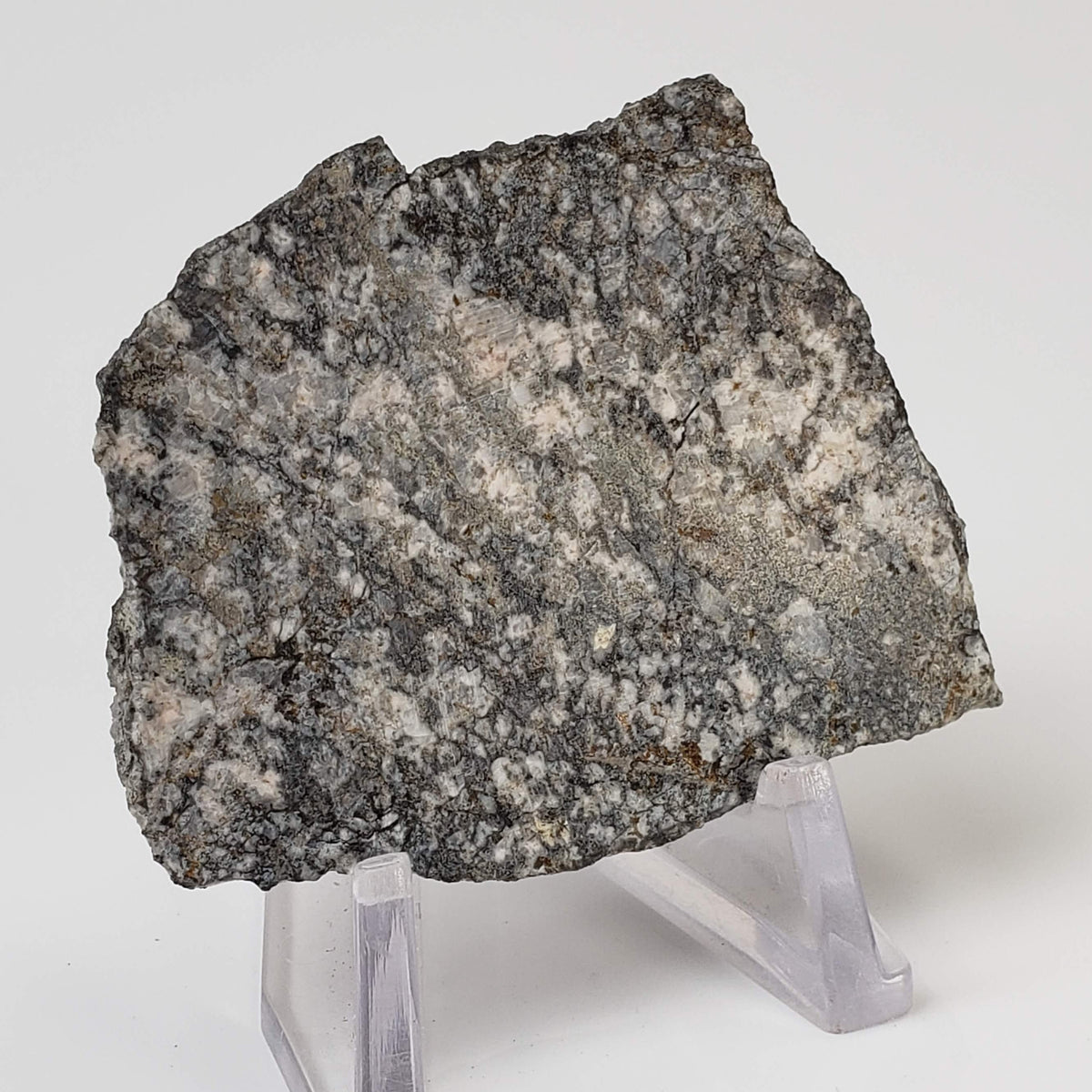  Impact Melt Breccia | 43.6 Grams | Gardnos Crater, Norway 2