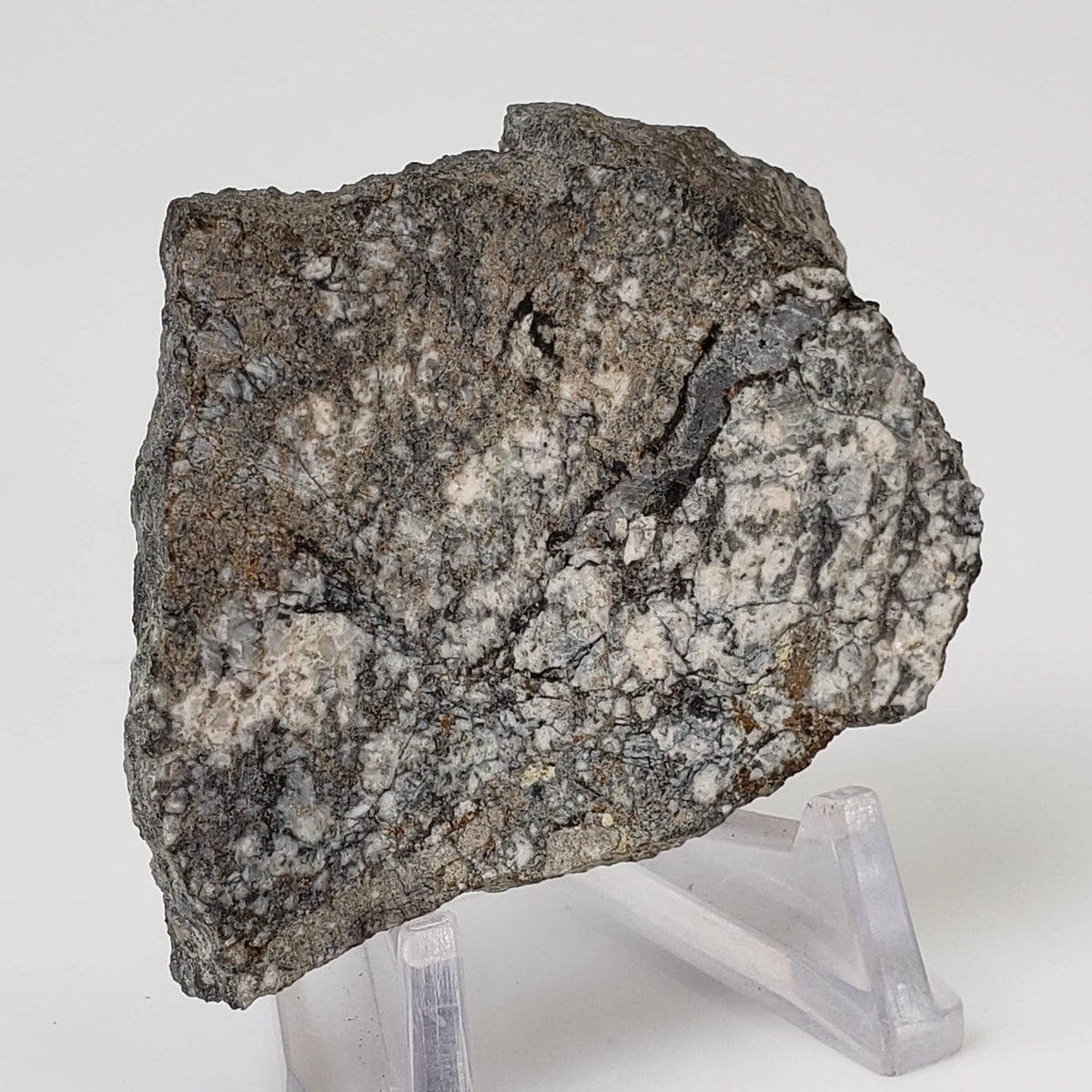  Impact Melt Breccia | 43.6 Grams | Gardnos Crater, Norway 3