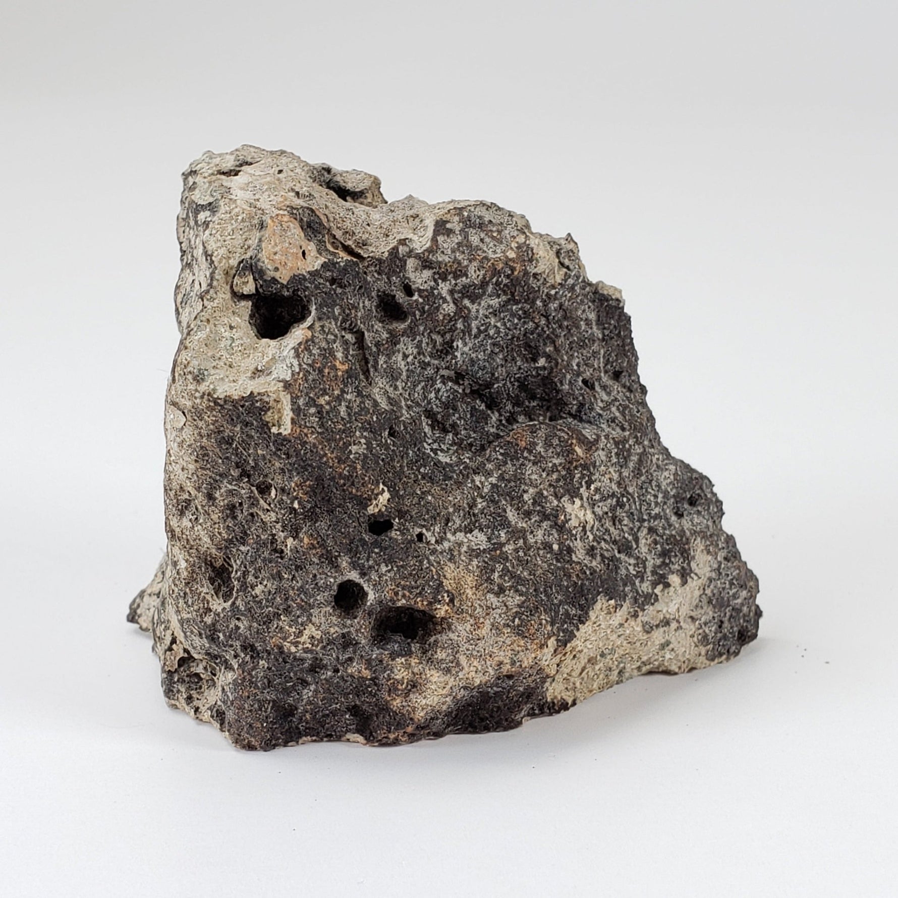  Impact Melt Breccia | 50.7 Grams | Sääksjärvi Crater, Finland 3