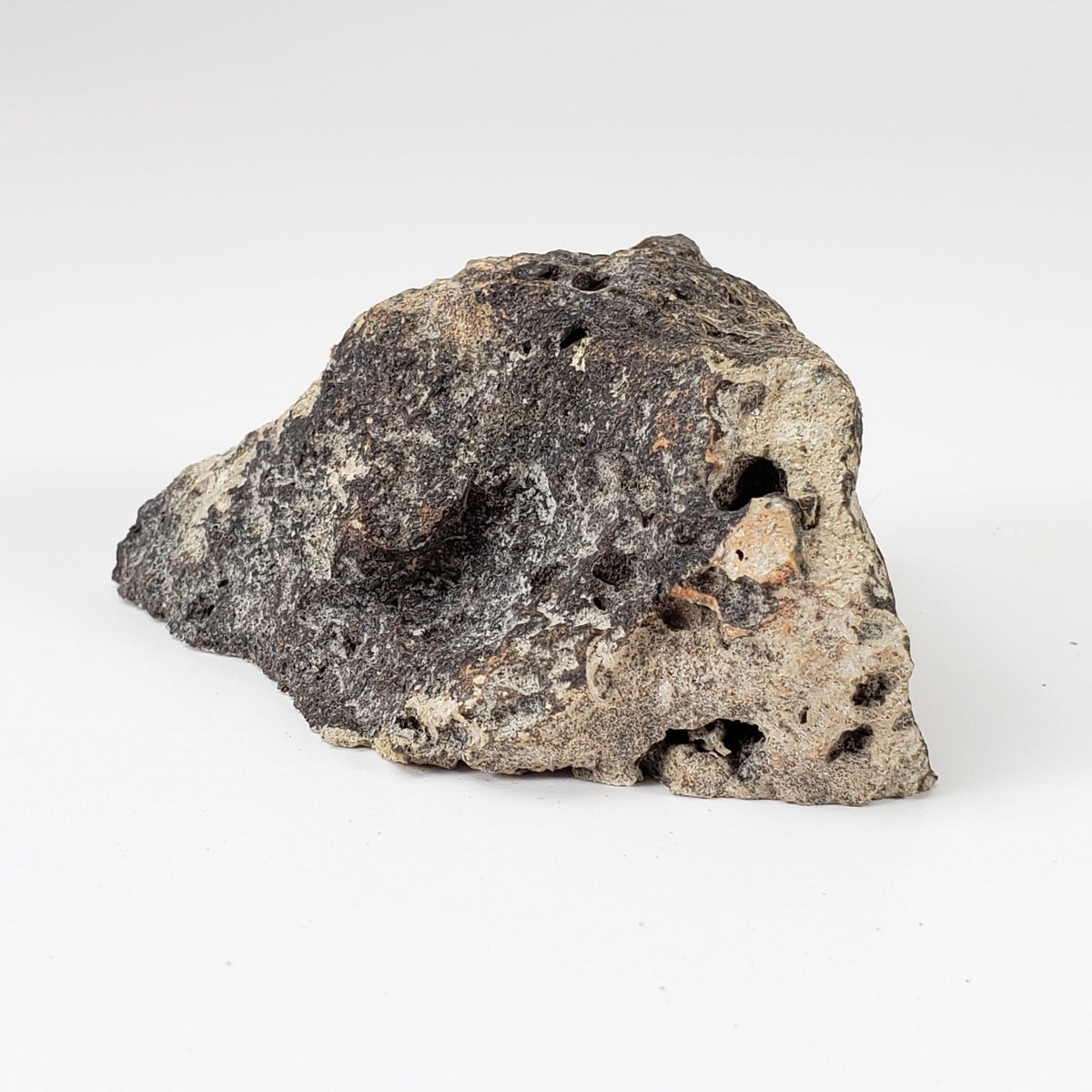  Impact Melt Breccia | 50.7 Grams | Sääksjärvi Crater, Finland 4
