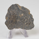  Impact Melt Glass | Flädle Glass | 34.5 Grams | Lake Mien Crater Impactite | Sweden 2