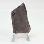  Impact Melt Rock | 17 grams | Stac Fada Impact Structure | NW Scotland 2