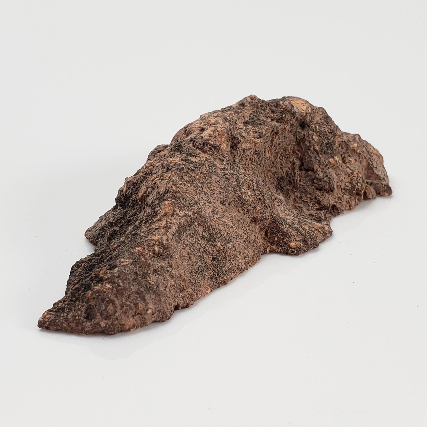  Impact Melt Rock | 21.4 grams | Dhala Impact Structure | 3rd Oldest Impact | India | SO24 1