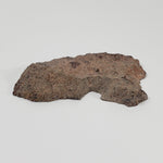  Impact Melt Rock | 25 grams | Dhala Impact Structure | 3rd Oldest Impact | India | SO24 3