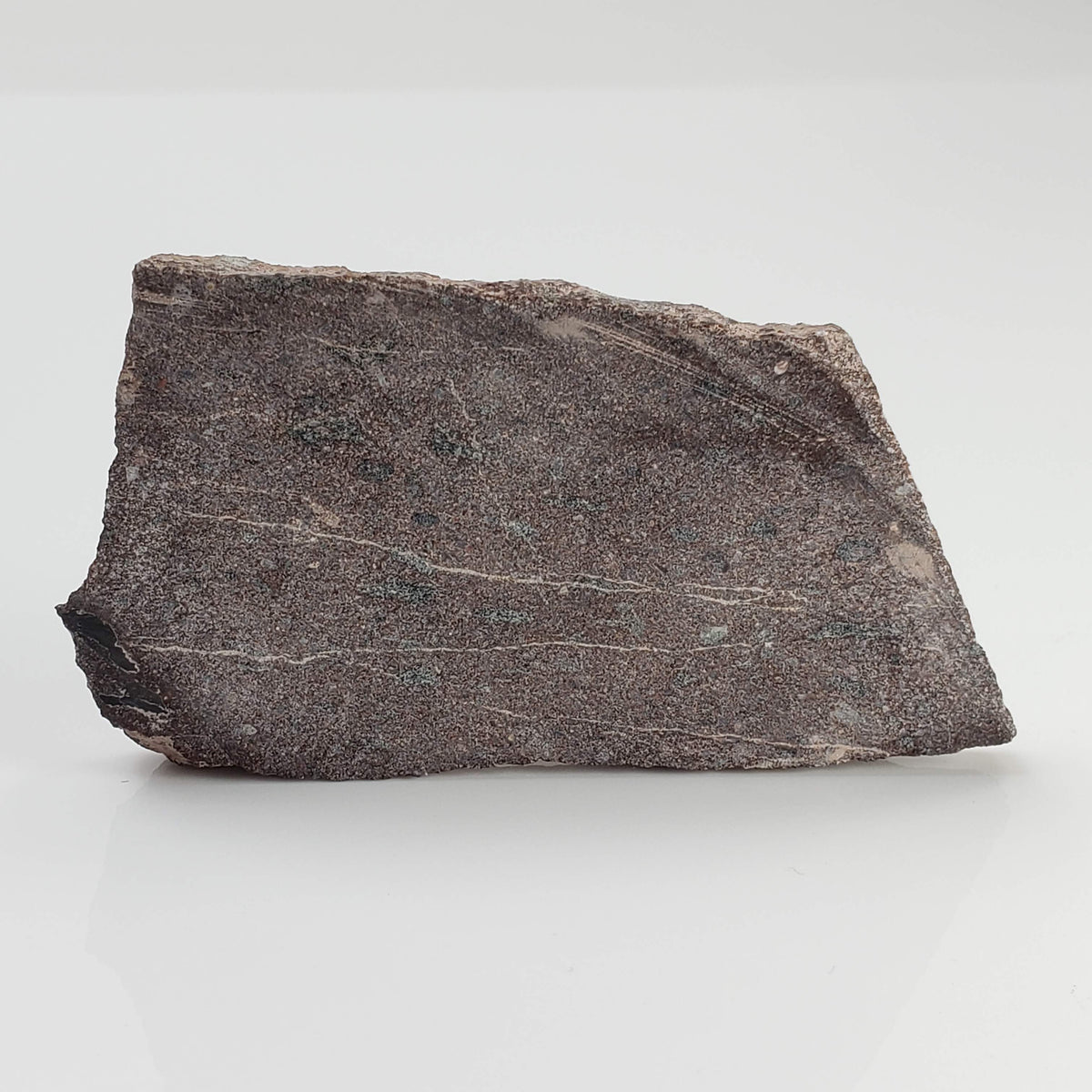  Impact Melt Rock | 28.4 grams | Stac Fada Impact Structure | NW Scotland 1