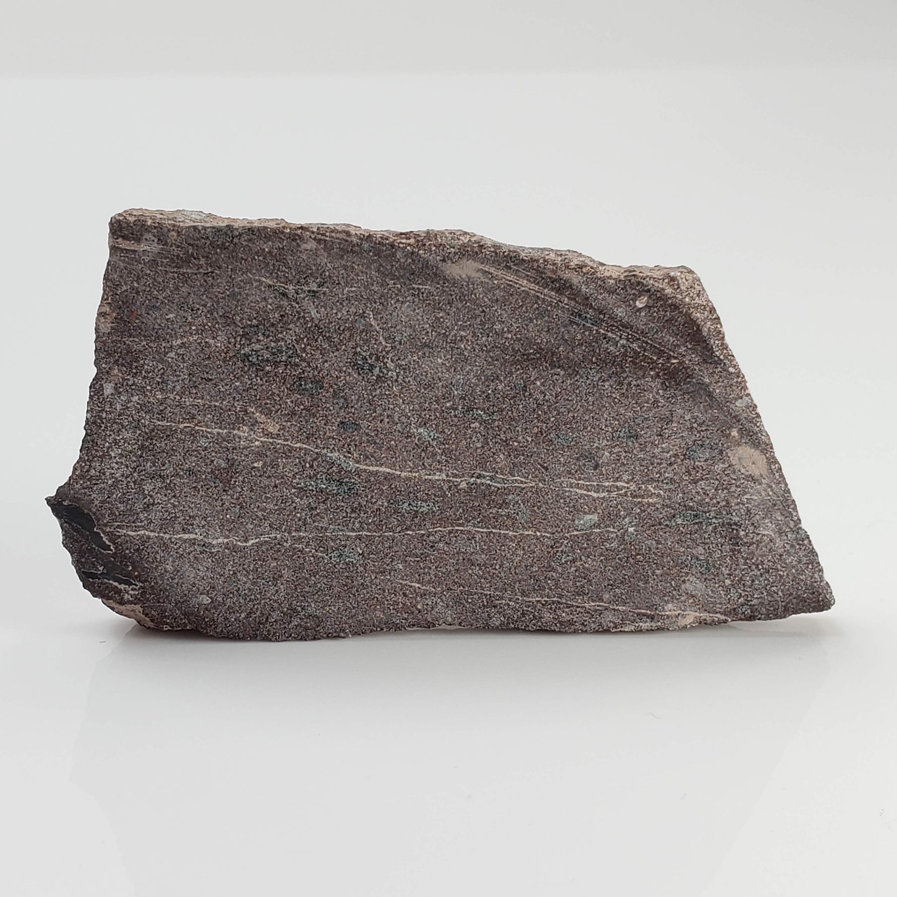  Impact Melt Rock | 28.4 grams | Stac Fada Impact Structure | NW Scotland 1