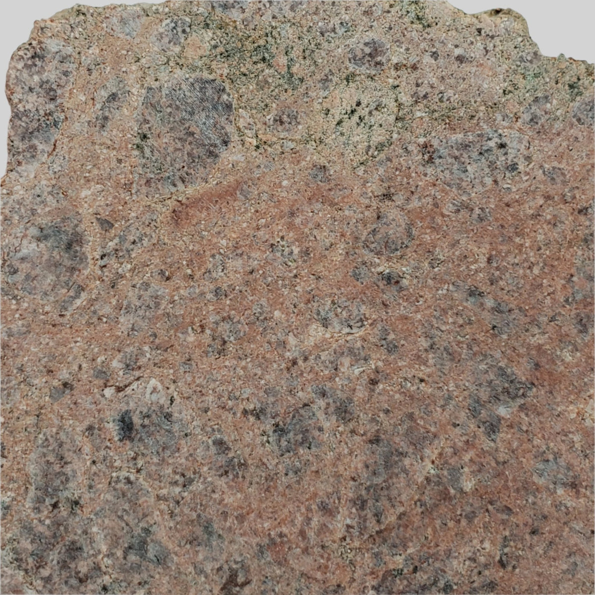  Impact Melt Rock | 40.7 grams | Dhala Impact Structure | 3rd Oldest Impact | India 6