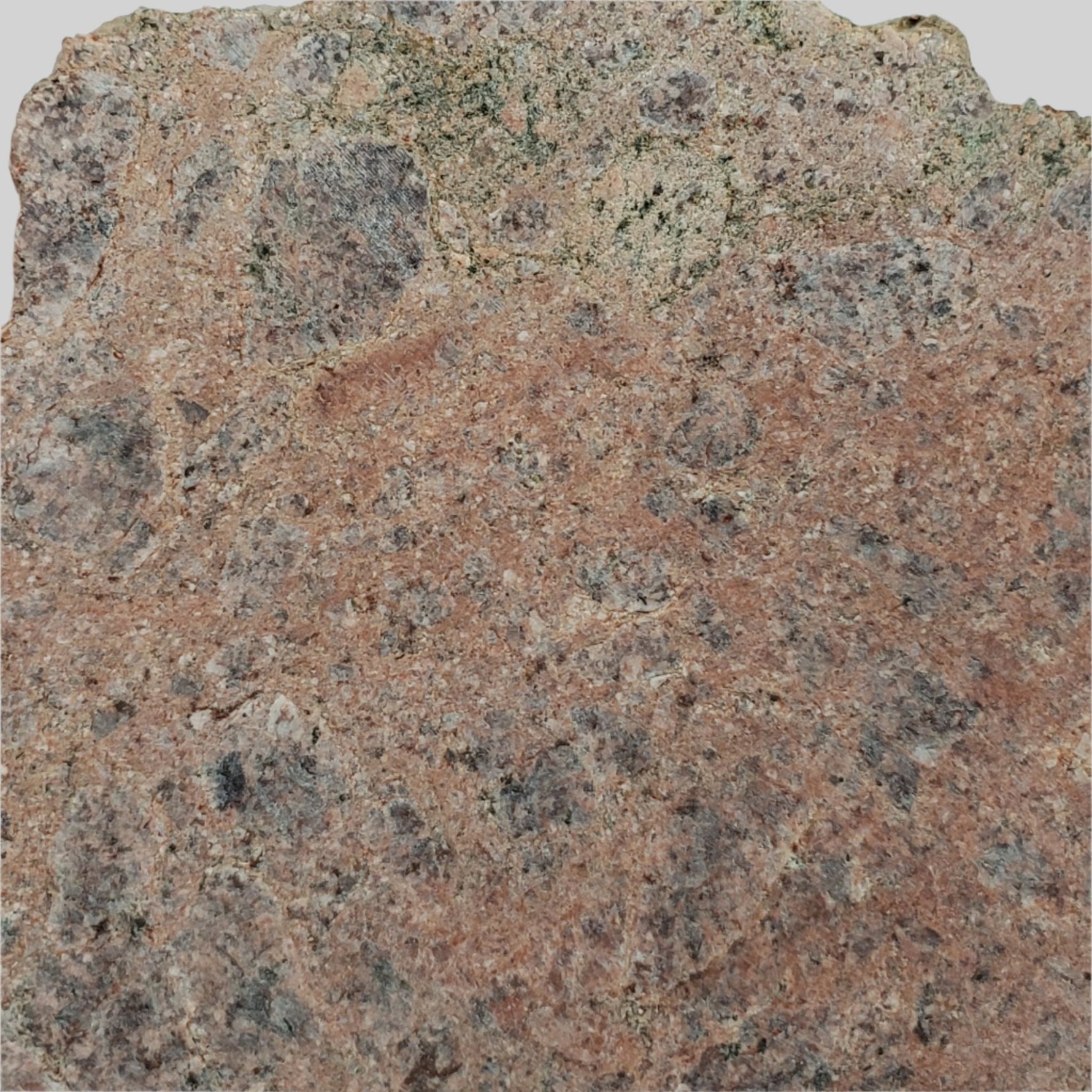  Impact Melt Rock | 40.7 grams | Dhala Impact Structure | 3rd Oldest Impact | India 6