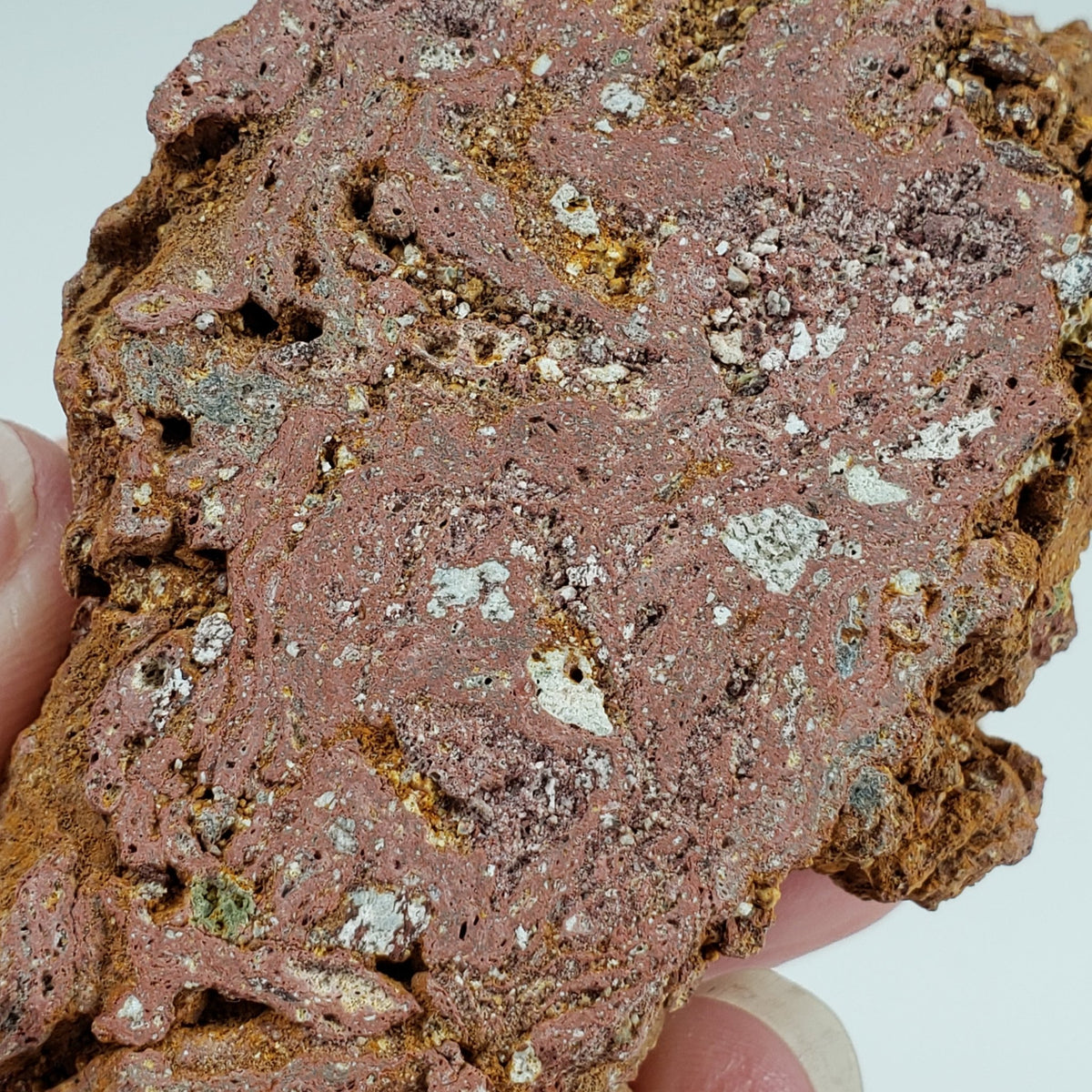  Impact Melt Rock | Polsingen Quarry | 54.75 grams | Ries Crater Germany | SO24 4