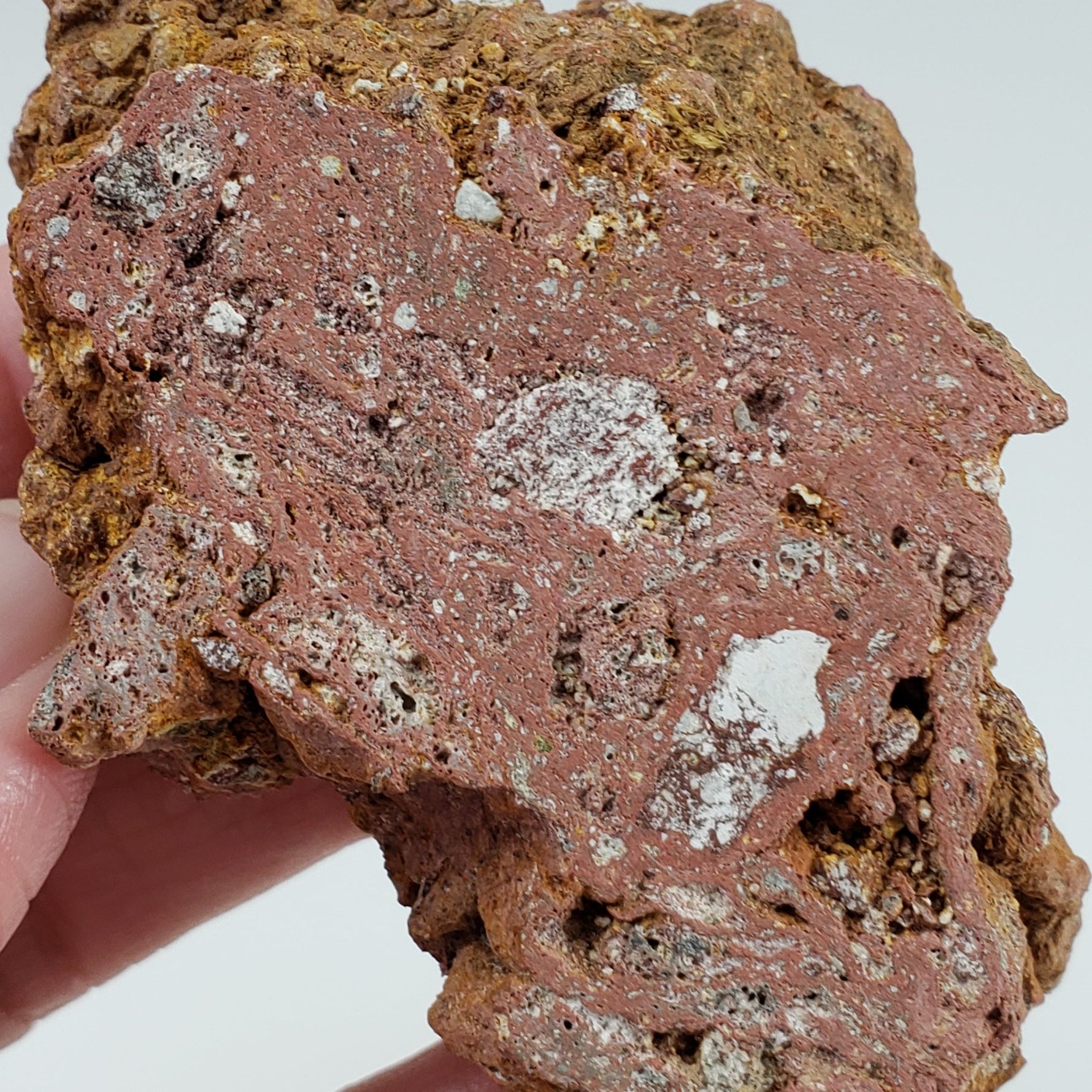  Impact Melt Rock | Polsingen Quarry | 54.75 grams | Ries Crater Germany | SO24 5
