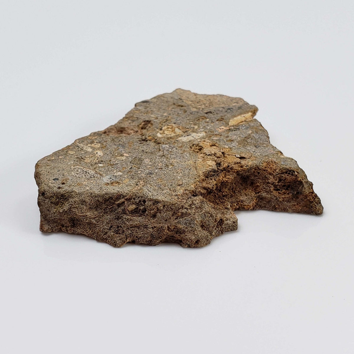  Impactite Breccia Suevite | 22.12 Grams | Chassenon, Rochechouart Structure, France 3