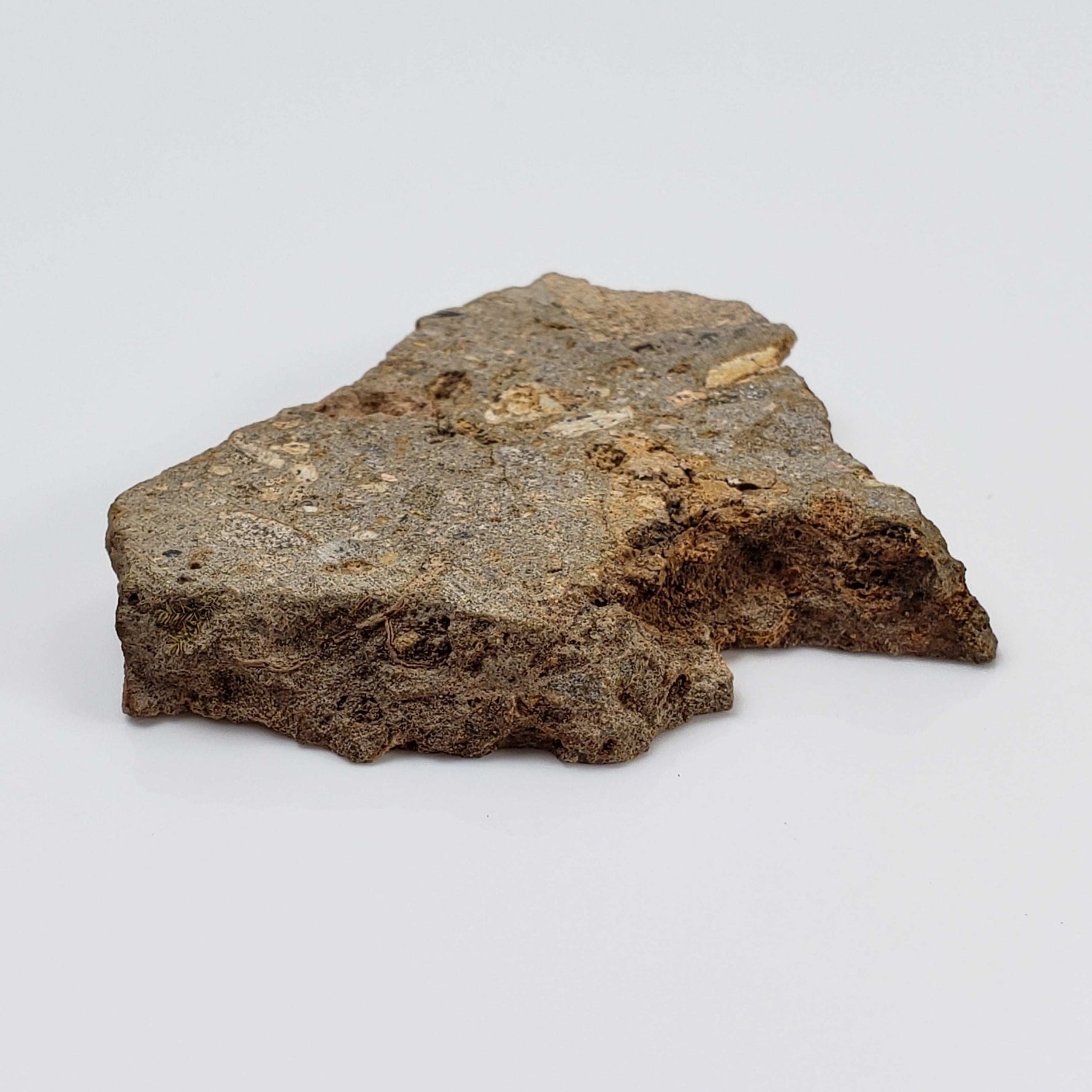  Impactite Breccia Suevite | 22.12 Grams | Chassenon, Rochechouart Structure, France 3