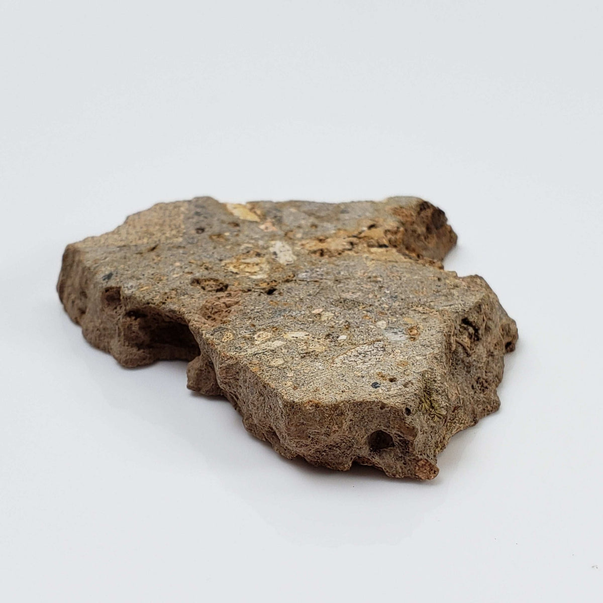  Impactite Breccia Suevite | 22.12 Grams | Chassenon, Rochechouart Structure, France 4