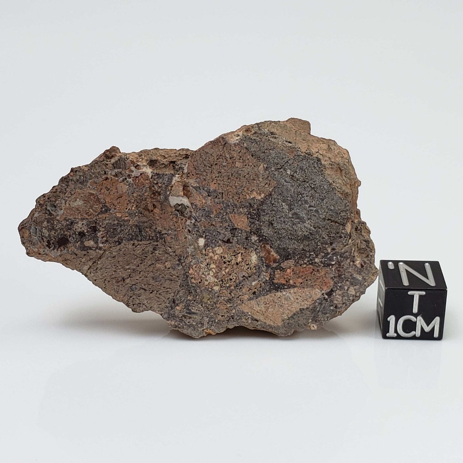  Impactite Breccia Suevite | 25.97 Grams | Montoume, Rochechouart Structure, France 