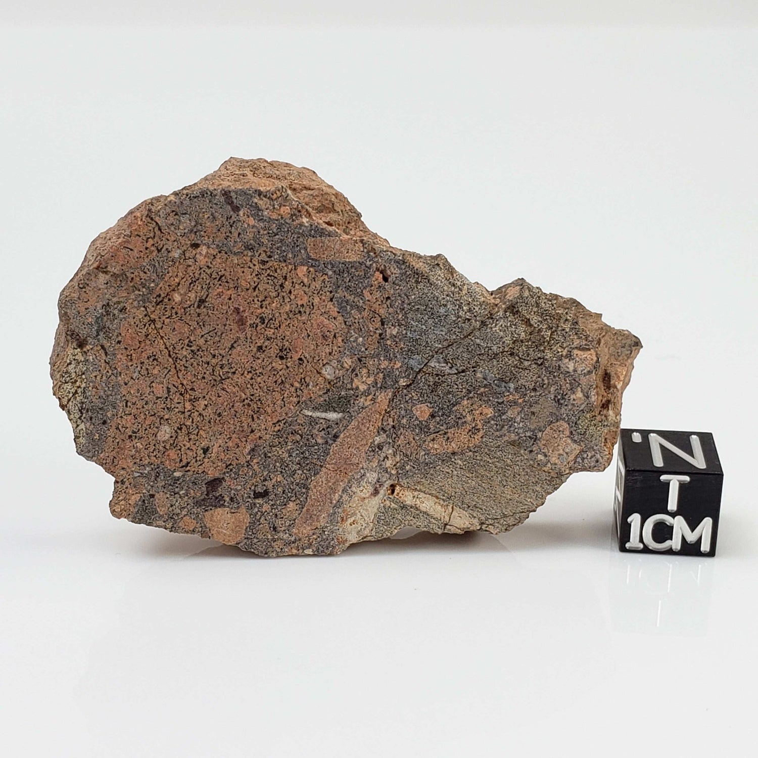  Impactite Breccia Suevite | 28.9 Grams | Montoume, Rochechouart Structure, France 